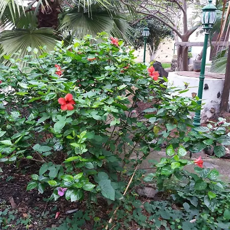 Casa El Cardon B1 * بوينافيستا ديل نورتي