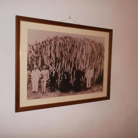 Casa El Cardon B1